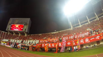 九游官网入口下载-“运动舞蹈：金牛区城北体育馆让你看到的不仅仅是舞蹈，更是灵魂与身体的交响”  第3张